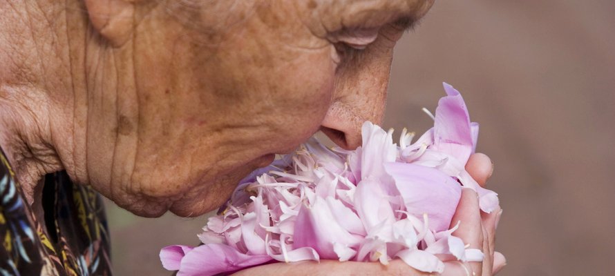 ältere Dame riecht an Blume